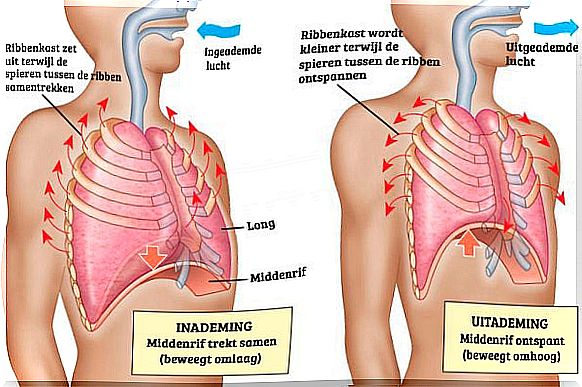 Diaphragmatic Breathing