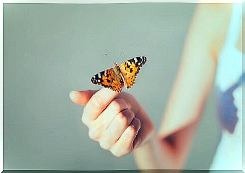 Girl holding a butterfly on her finger 