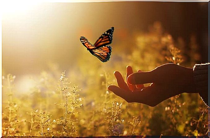 Woman releasing a butterfly, in reference to Fritz Perls