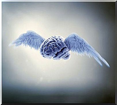 Brain with wings