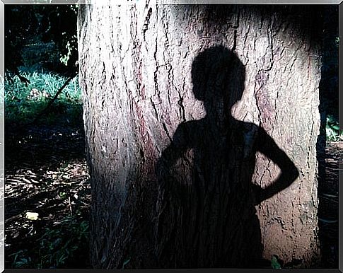 The shadow of Peter Pan on a tree