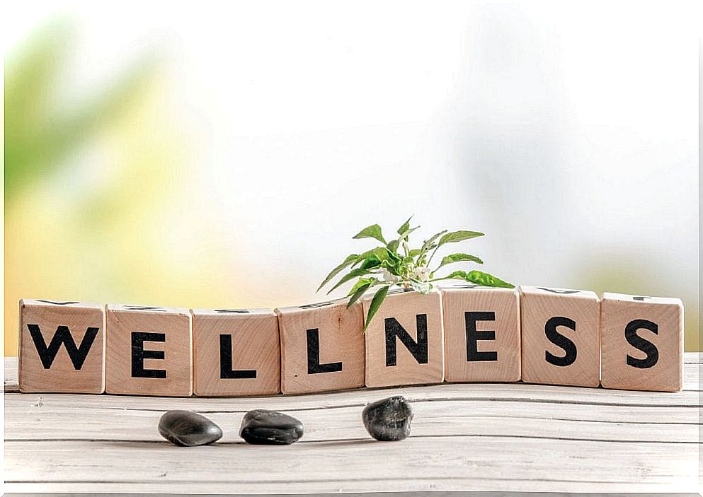 Blocks with the word wellness