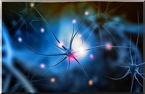 What exactly is neurogenesis and why is it important?