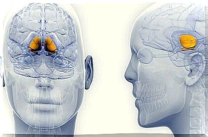 Progressive supranuclear palsy (