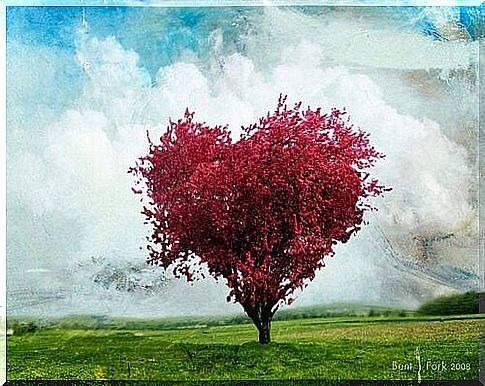 Heart Shaped Tree