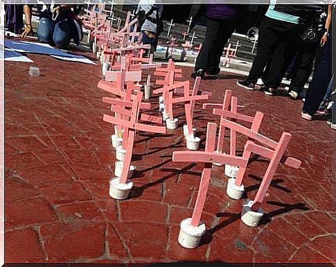 Pink crosses in memory of the victims of the feminicides